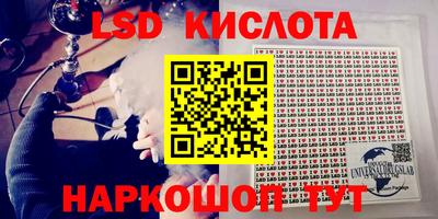 Альфа ПВП Владикавказ