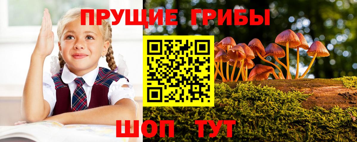 дарнет шоп  Псилоцибиновые грибы Psilocybe  Вход с VPN  Сегежа 
